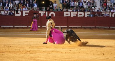 Exposiciones