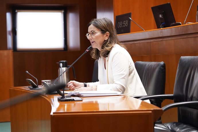 La directora general de Financiación y Fondos Europeos ha comparecido este lunes ante la Comisión de Hacienda, a petición del PSOE, CHA e IU.