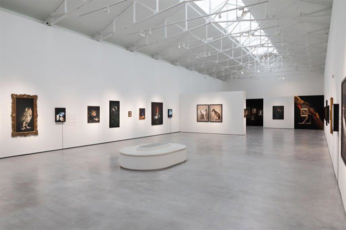 Archivo - Exposición 'Personas' de la fotógrafa Estela de Castro.