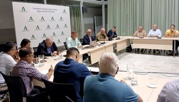 Es Andalucía - Sevilla
