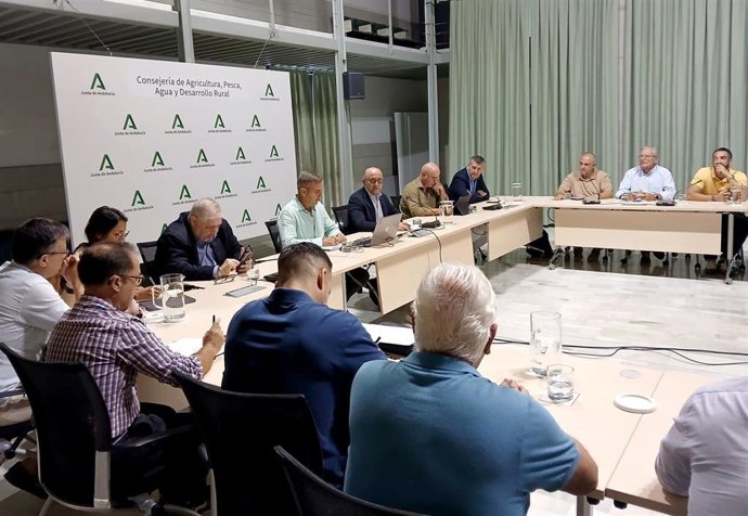Imagen del aforo.