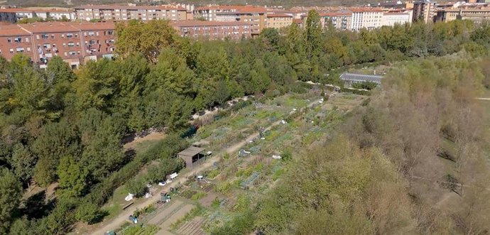 Huertas de Aranzadi.