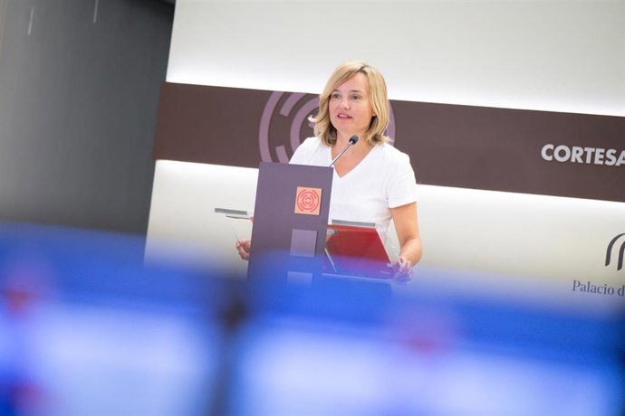 La portavoz del PSOE en las Cortes de Aragón, Pilar Alegría, en rueda de prensa.