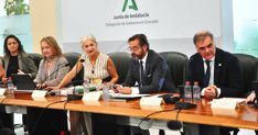 Es Andalucía - Granada