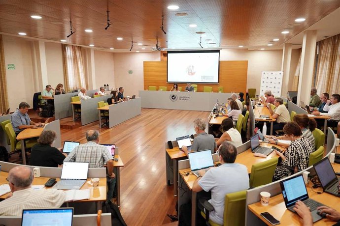 Consejo de Gobierno de la Universidad de Málaga (UMA).