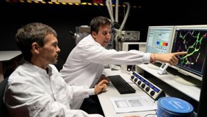Investigación