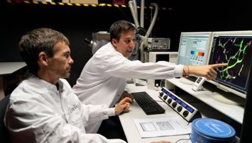 Investigación