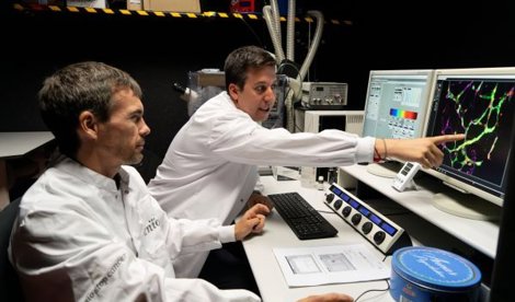 notibrasil sociedade