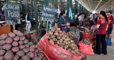 economia