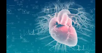 El Ministerio de Ciencia destina 444 millones desde 2018 a investigación e innovación en salud cardiovascular