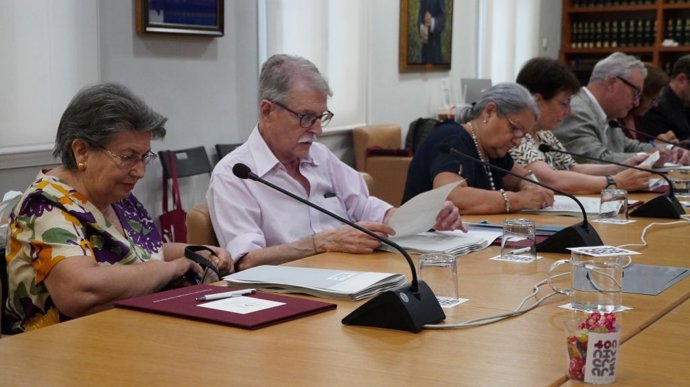 El pleno del CVC.