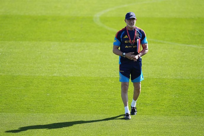 El seleccionador español absoluto Luis de la Fuente.