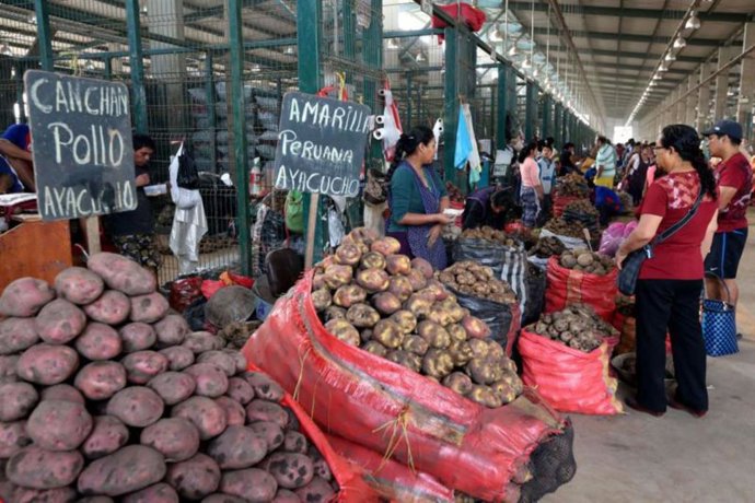 Perú.- Abastecimiento: aumenta ingreso de frutas y verduras en mercados mayoristas de Lima