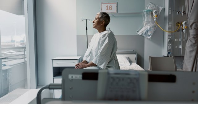 Investigación