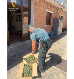 Restos de la planta intervenida.