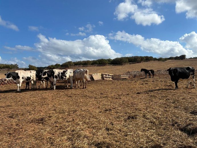 Archivo - Explotación agraria de Baleares