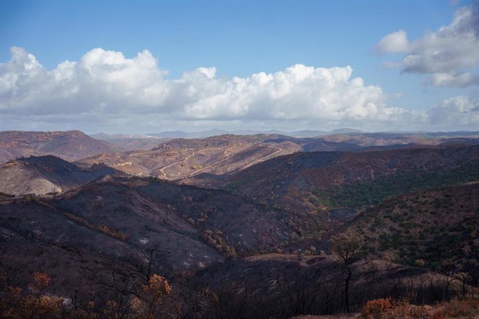 Archivo - Entorno desolado por el incendio de Niebla (Huelva).