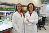 Foto: Una muestra de sangre podría identificar proteínas del cáncer y diseñar inmunoterapias
