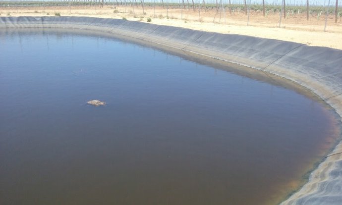 GREFA y WWF piden a Transición Ecológica medidas urgentes para evitar que las balses de riego sean "trampas mortales".