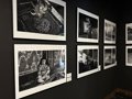 Casa Colón acerca a Valladolid la identidad de la comunidad peruana shipibo-konibo a través de fotografías de David Díaz