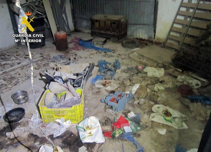 Estancia donde la propietaria mantenía al perro