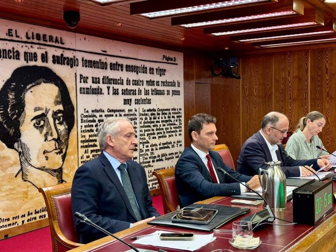 El director general de Inmigración y Cooperación al Desarrollo del Govern, Manuel Pavón, en la Comisión Mixta sobre Insularidad del Senado.