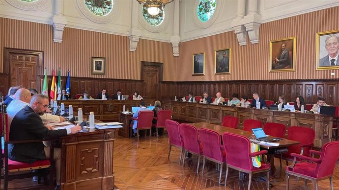 Pleno de la Diputación