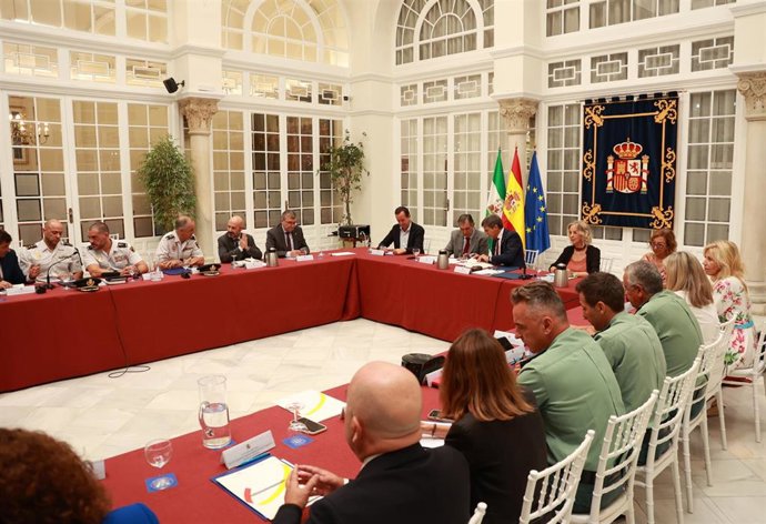 El delegado del Gobierno de España en Andalucía, Pedro Fernández, en la reunión de la Mesa de Coordinación Operativa (MECO) del V Plan Especial de Seguridad del Campo de Gibraltar (Sevilla).