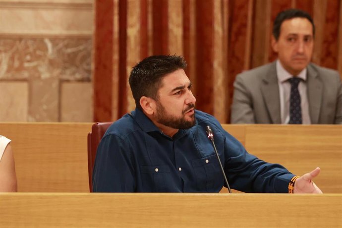 Archivo - El portavoz adjunto del Grupo Municipal Podemos-Izquierda Unida, Ismael Sánchez.