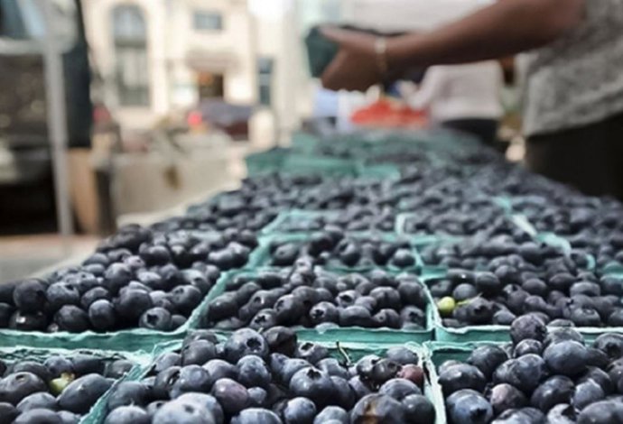 Archivo - Perú.- Agroexportaciones peruanas suman US$ 4,713  millones en primeros cinco meses de 2026
