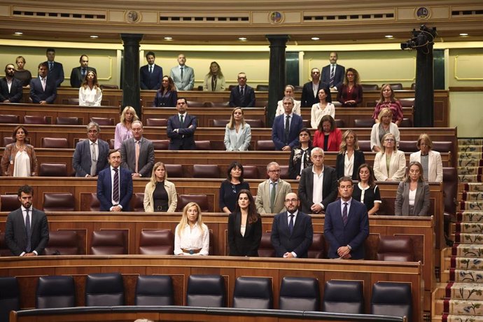 Una sesión plenaria en el Congreso de los Diputados.