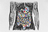 Foto: El microbioma intestinal esconde una pista sobre el cáncer que aparece antes de los 50 años
