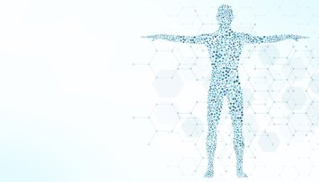 Investigación