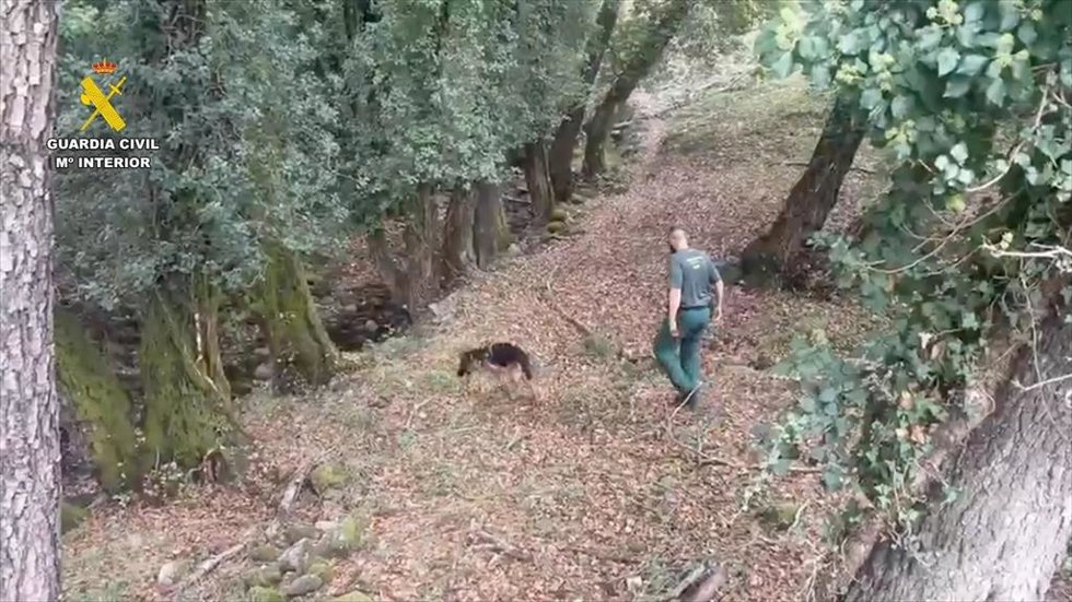 Dispositivo de búsqueda del hombre desaparecido en Losar de la Vera (Cáceres)
