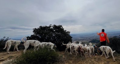 Medio Ambiente