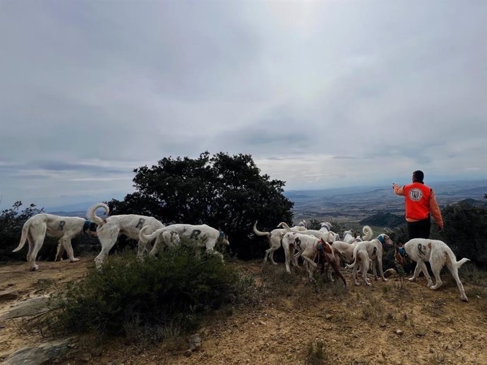 La Asociación de Rehalas Regionales Españolas 'Caza y Libertad' (Arrecal) ha dirigido una carta abierta al ministro de Agricultura, Pesca y Alimentación, Luis Planas, en la que reclama medidas fiscales urgentes para aliviar los costes que soportan.