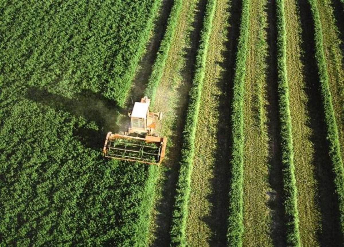 Page avanza un acuerdo con organizaciones agrarias de C-LM para compatibilizar la cosecha con la prevención de incendios