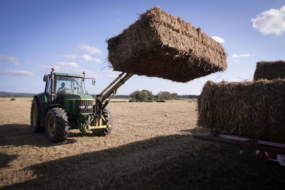 Archivo - Un tractor durante la recogida de trigo.