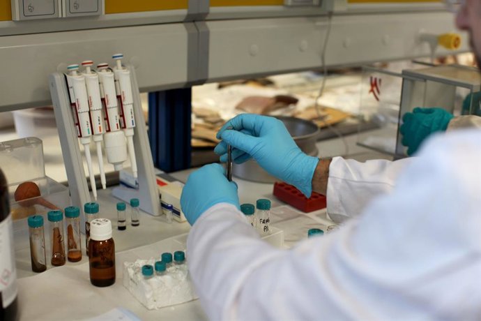 Archivo - Un investigador en el laboratorio del Instituto de Investigación en Arqueología Ibérica.