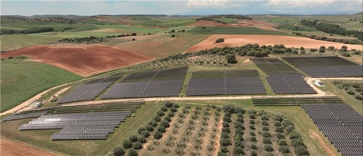 Audax pone en marcha la planta fotovoltaica de El Rebollo, en Guadalajara