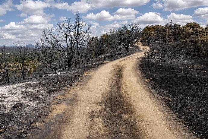 Archivo - Vista tras el paso del fuego, a 23 de agosto de 2026, en Aldea del Fresno, Madrid (España). 