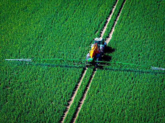 Archivo - Arquivo - ARQUIVADO - 15 de abril de 2025, Mecklemburgo-Pomerânia Ocidental, Strahlendorf: Uma foto aérea tirada com um drone mostra um trator puxando uma máquina pulverizadora por um campo de colza e pulverizando pesticida. Foto: Jens Büttner/d