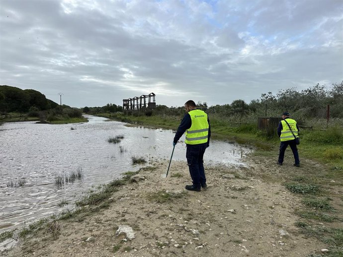 Operarios realizan actuaciones de control de mosquitos en El Puerto de Santa María