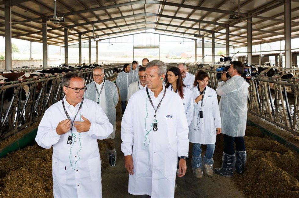 El presidente de la Xunta, Alfonso Rueda, junto con la conselleira do Medio Rural, María José Gómez, visita la granja Doroña SAT-Nestlé. Granxa Doroña (Arzúa), 30/09/26.