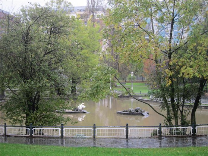 Archivo - Arboles en Bilbao                      