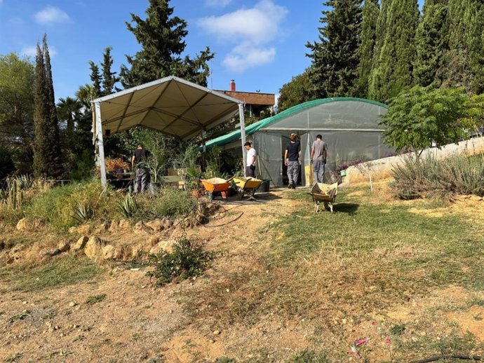 El Ayuntamiento de Alcalá impulsa el 'Proyecto Verde' en el IES Tierno Galván