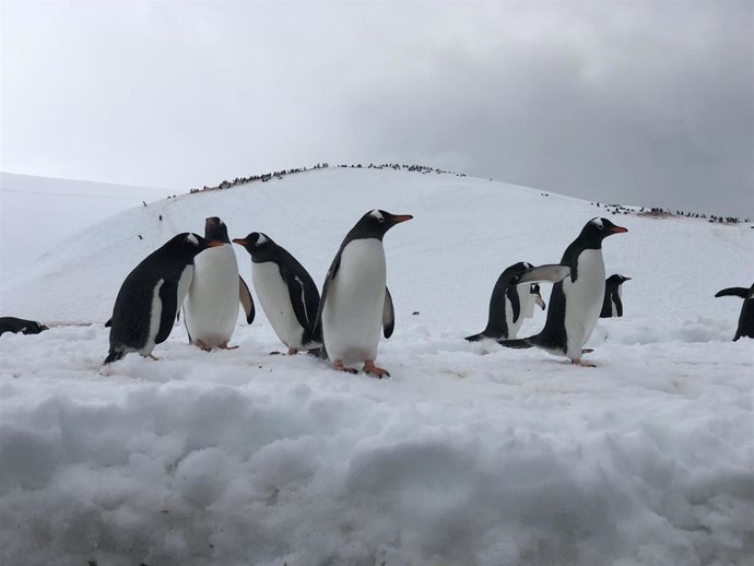Fotograma del documental 'Viaje al fin del mundo'