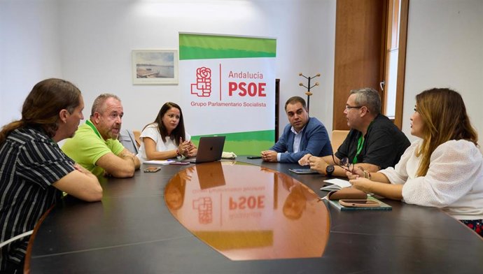 El secretario de Organización del PSOE de Cádiz y parlamentario andaluz, Juan Cornejo, y las diputadas del grupo socialista en el Parlamento de Andalucía, Verónica Pérez y Silvia Mellado, junto a representantes de UGT en Airbus