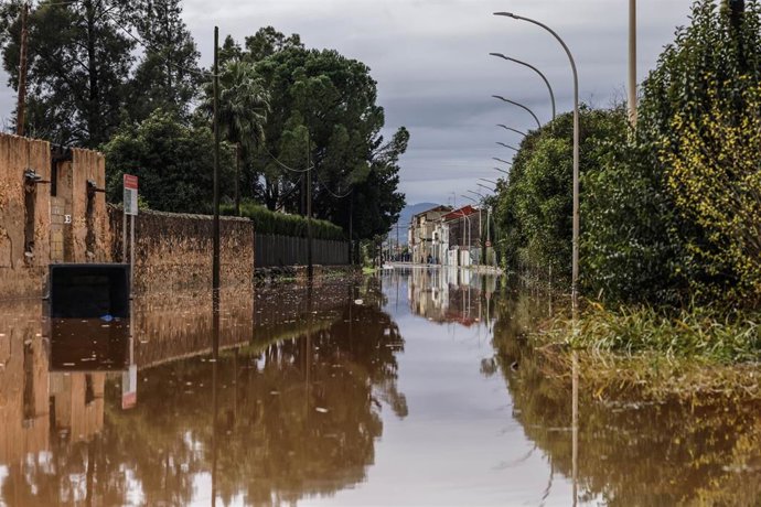 Archivo - Efectos de las lluvias en la zona del barranco en Carcaixent, a 29 de diciembre de 2025, en Carcaixent, Valencia, Comunidad Valenciana (España). 
