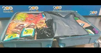 Detenida en Barajas una mujer con casi 16kg de cocaína escondidos en envases de alimentación en su maleta